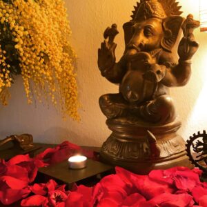 Ashtanga Yoga Shala — foto 3