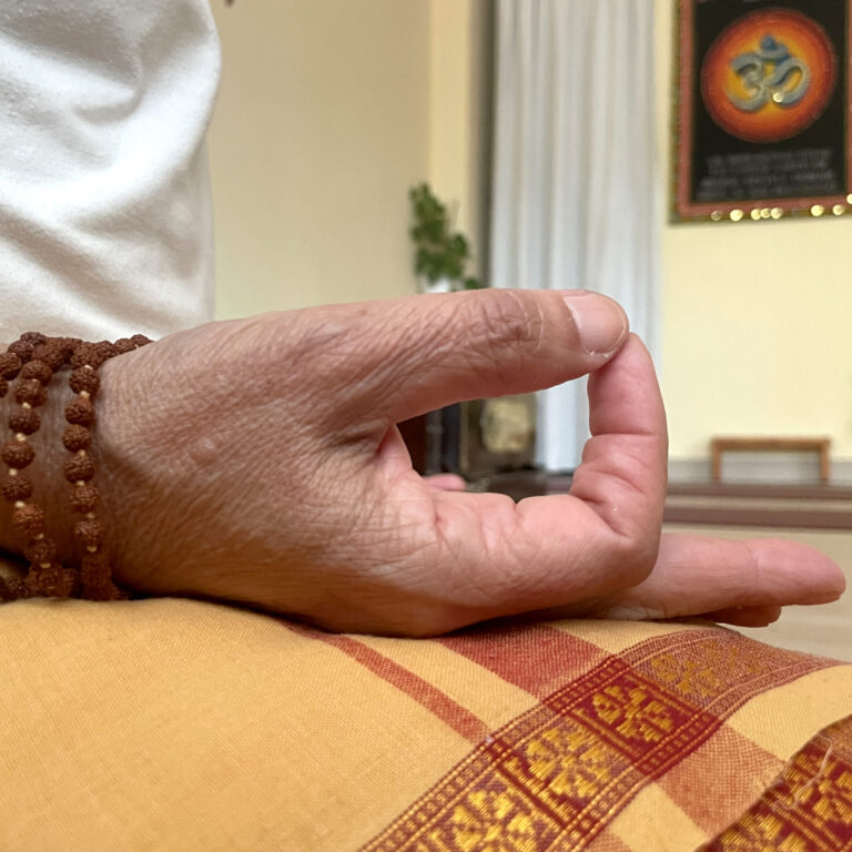 Centro de Yoga Shakti Zaragoza