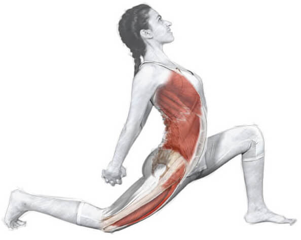 FisiomYoga