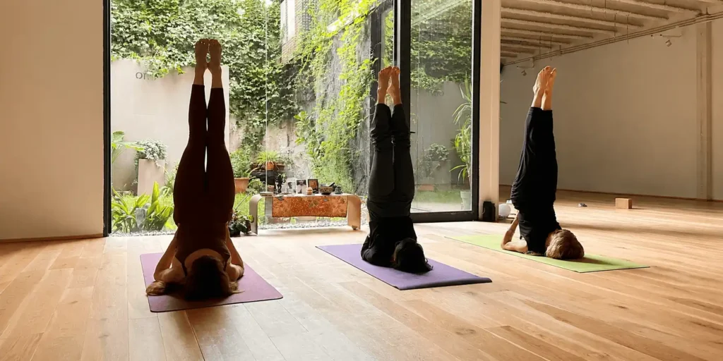 Formación en Yoga · Nivel I (200h)