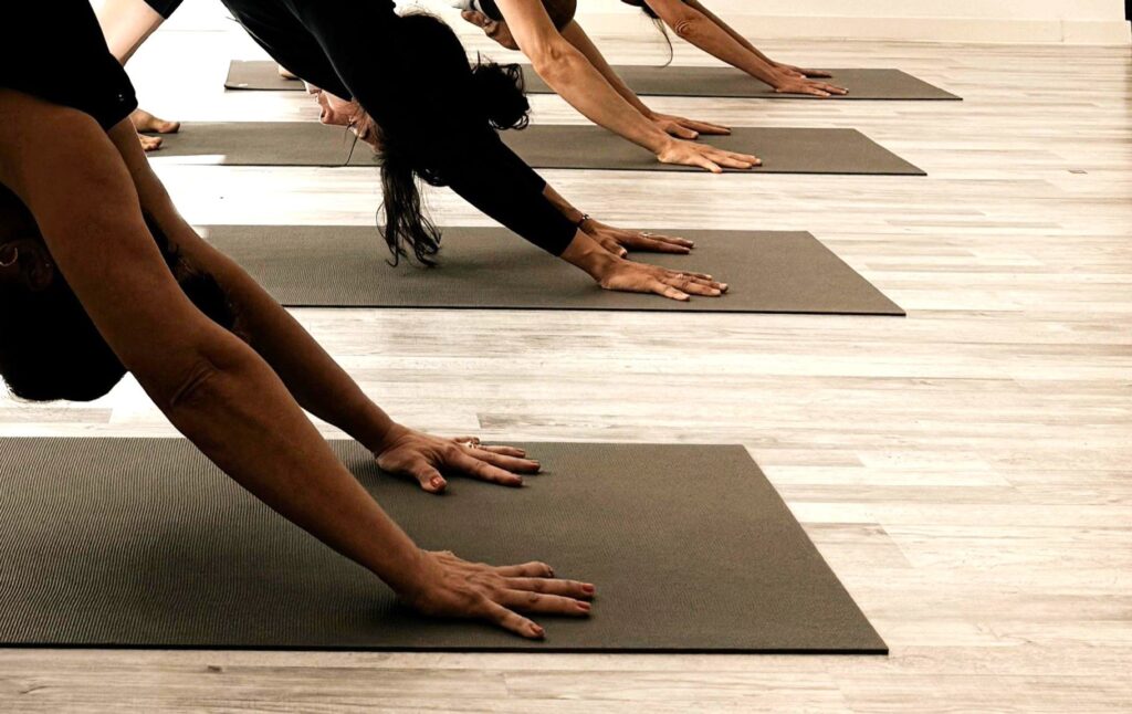 Formación de Profesores de Yoga 200h en Valladolid · Yoga Alliance RYT-200 (2026/27)